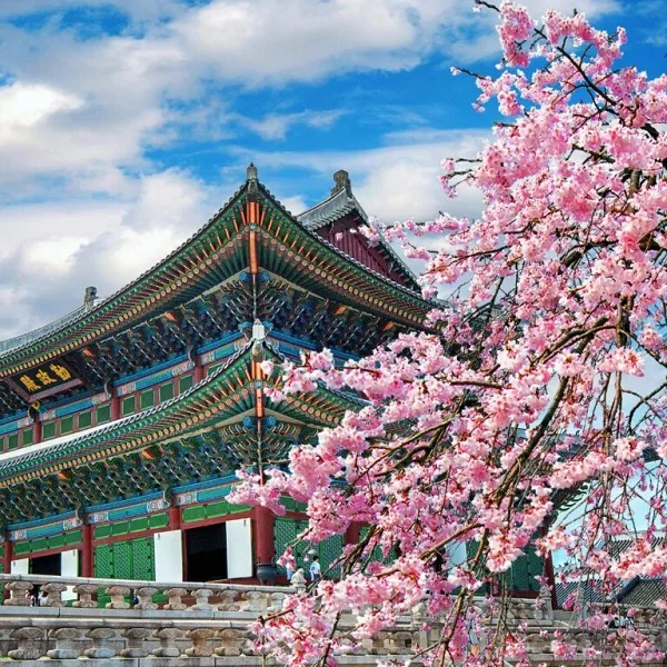 pg电子成都站以即时畅享综合娱乐平台，游戏体验不间断。为核心，带来高效便捷的体验。 - pg电子成都站